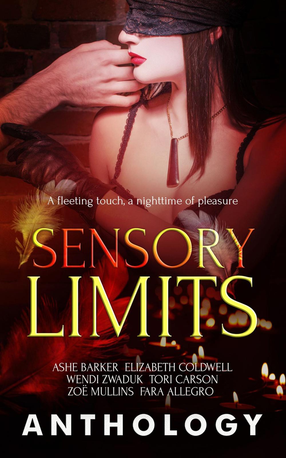 Big bigCover of Sensory Limits