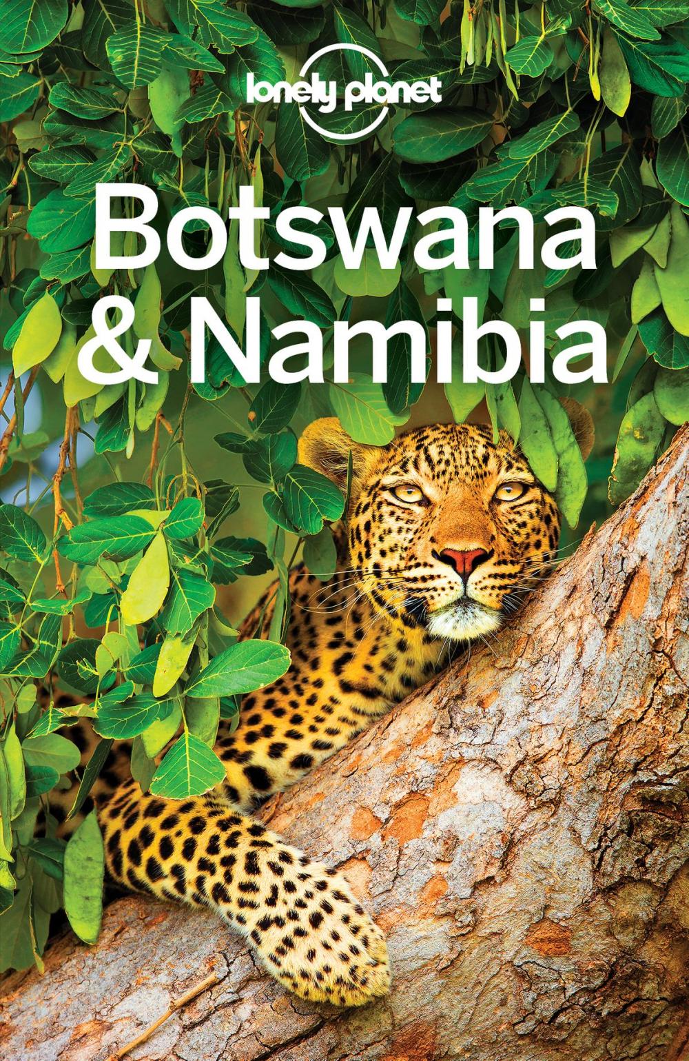 Big bigCover of Lonely Planet Botswana & Namibia