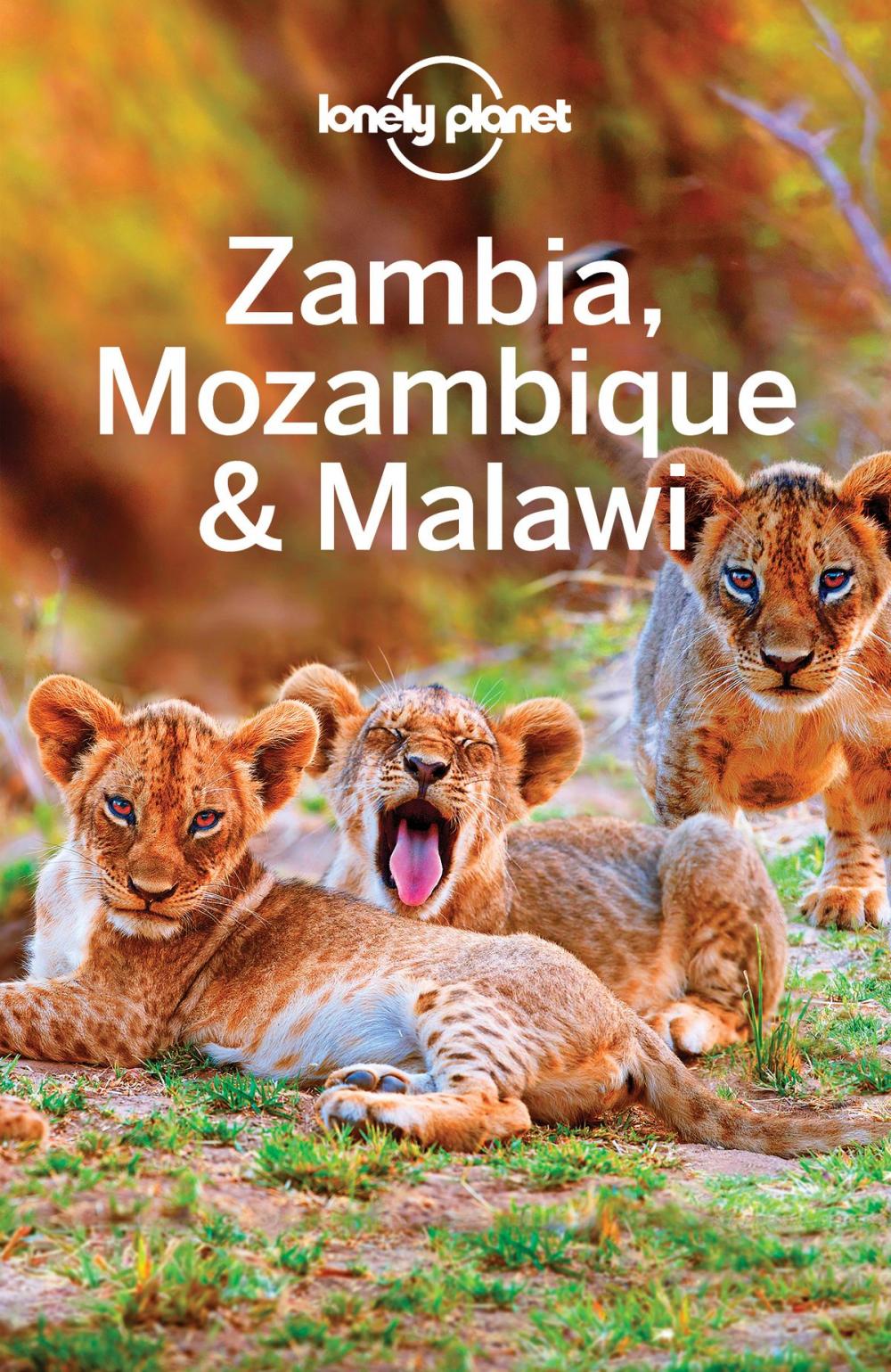 Big bigCover of Lonely Planet Zambia, Mozambique & Malawi