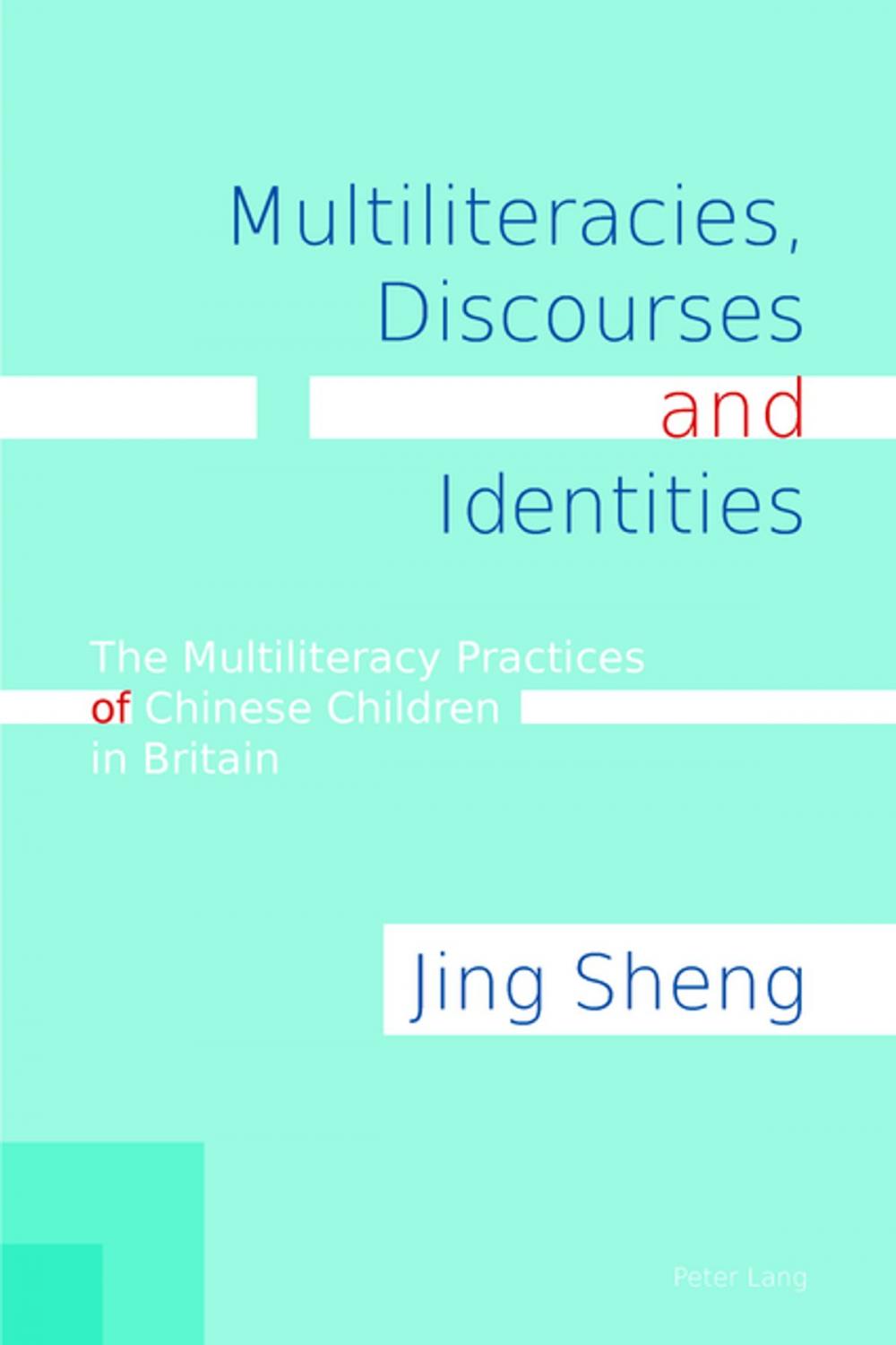 Big bigCover of Multiliteracies, Discourses and Identities