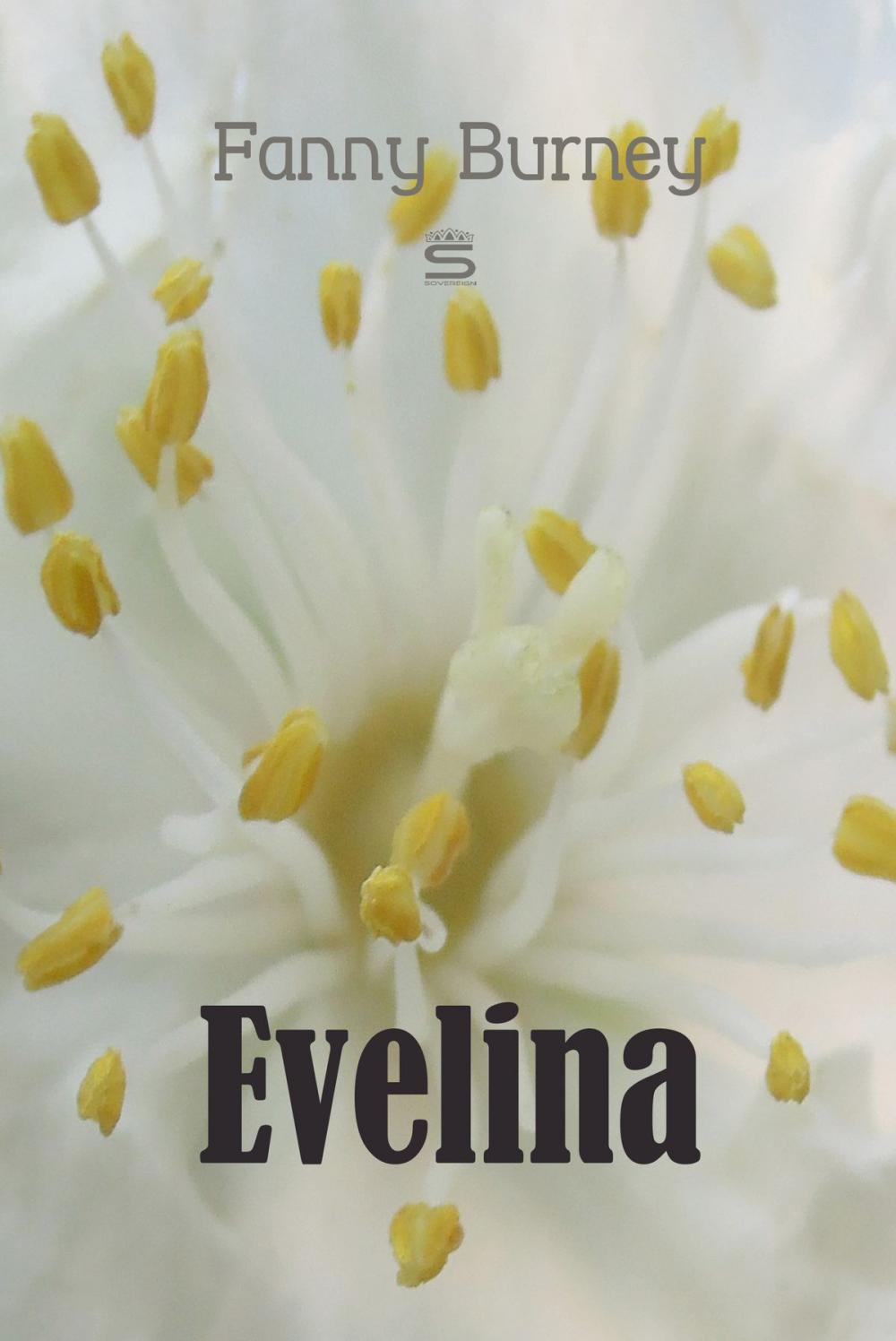 Big bigCover of Evelina