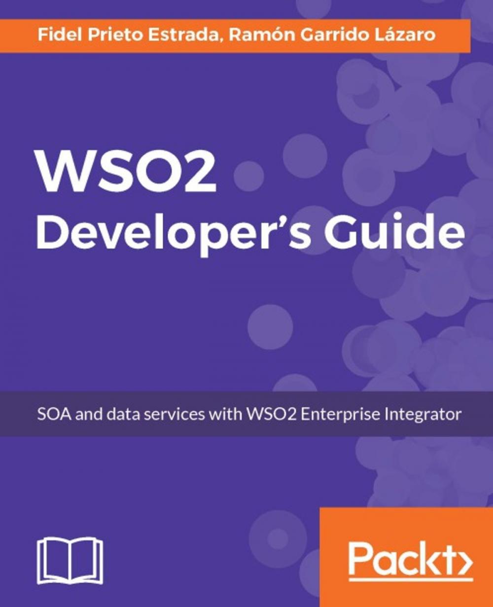 Big bigCover of WSO2 Developer's Guide