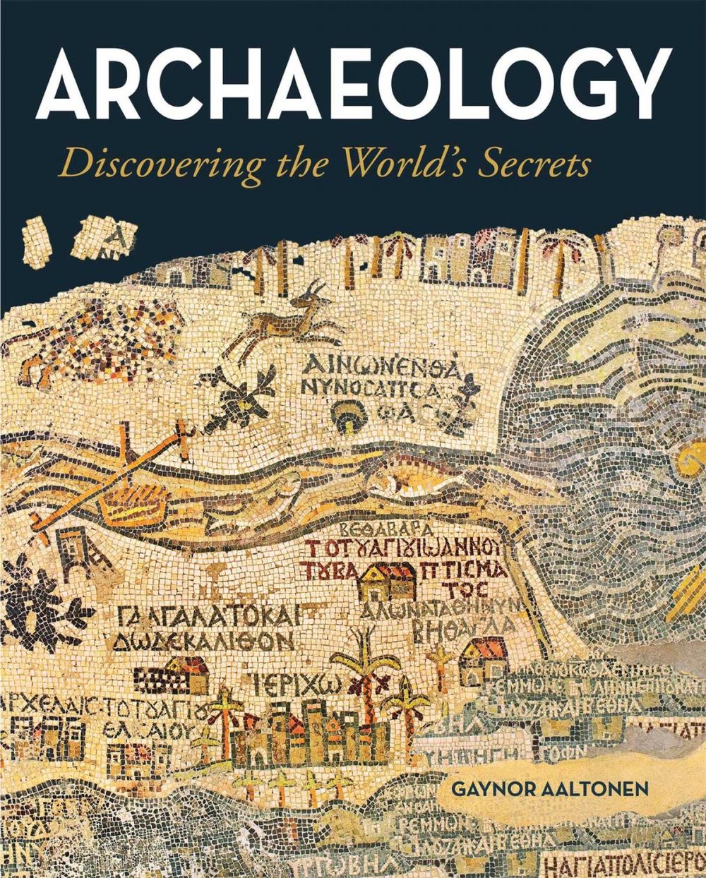 Big bigCover of Archaeology