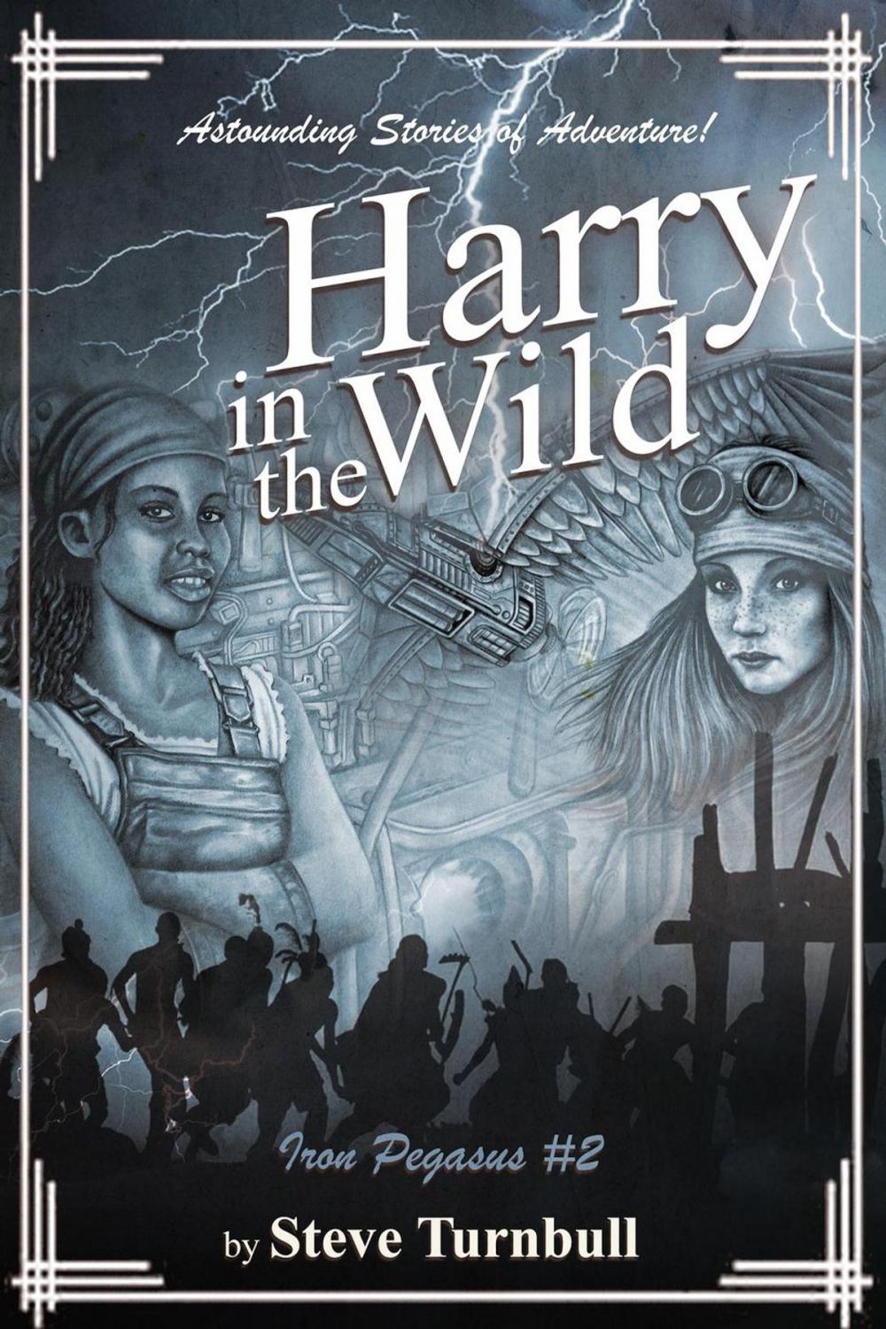 Big bigCover of Harry in the Wild