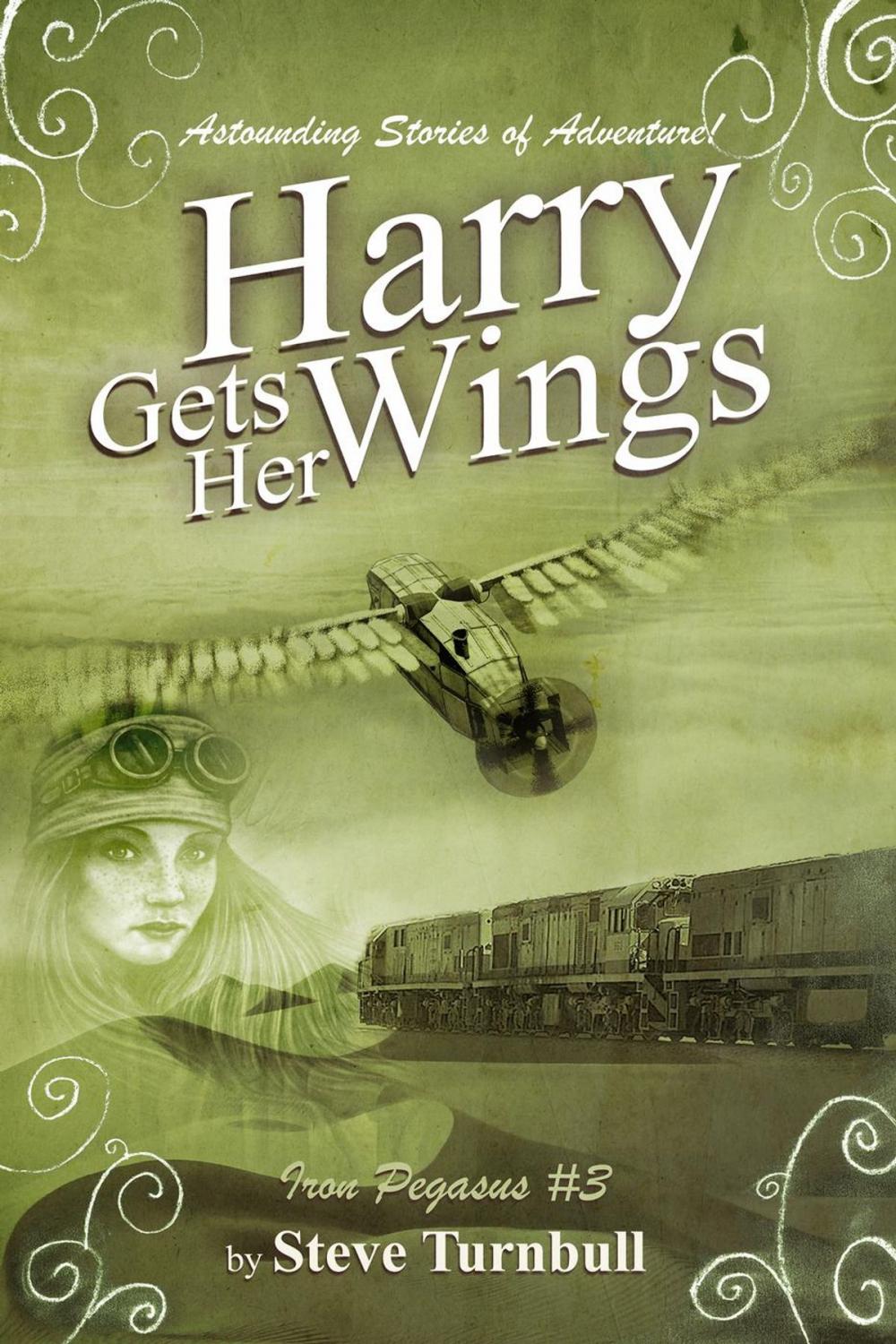 Big bigCover of Harry Gets Her Wings