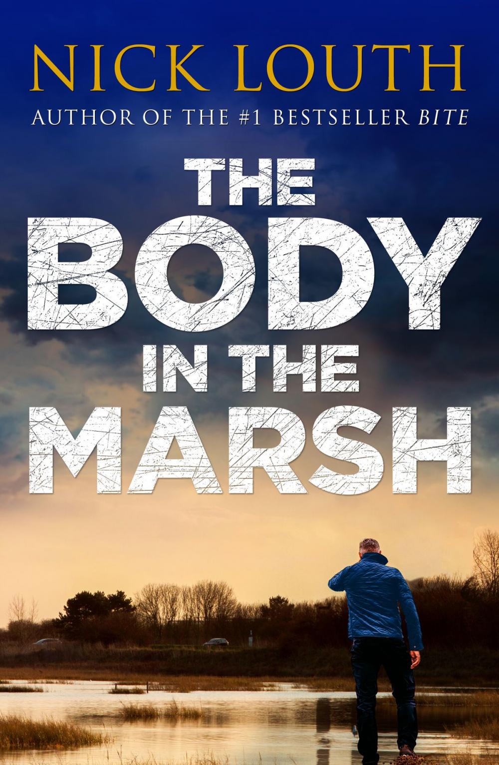 Big bigCover of The Body in the Marsh