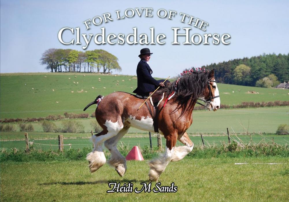 Big bigCover of For Love of the Clydesdale Horse