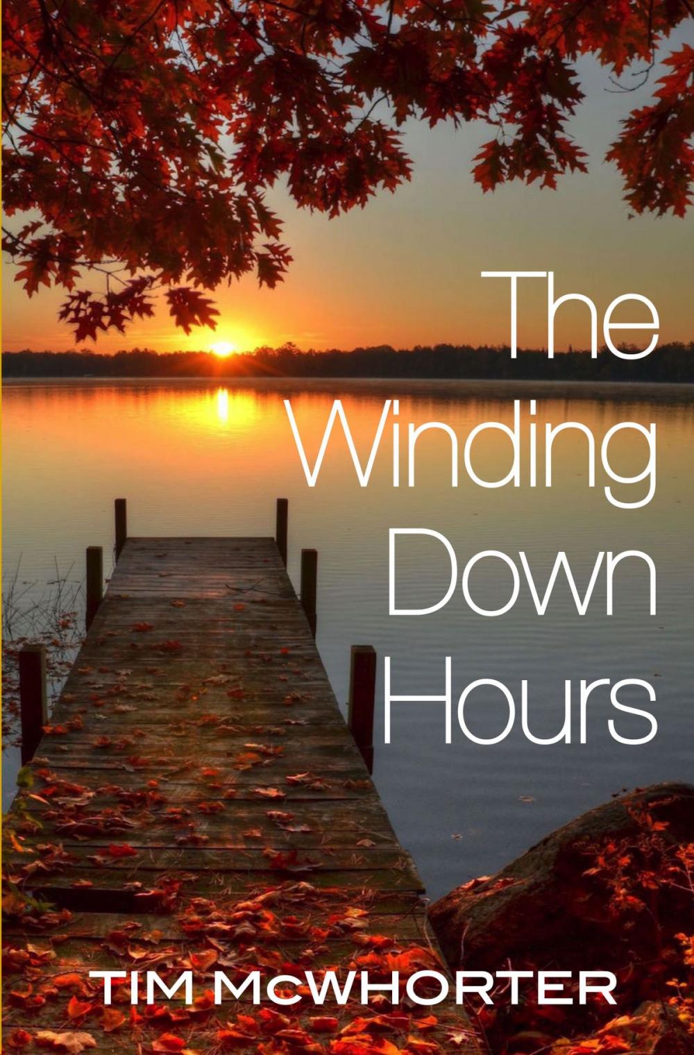 Big bigCover of The Winding Down Hours