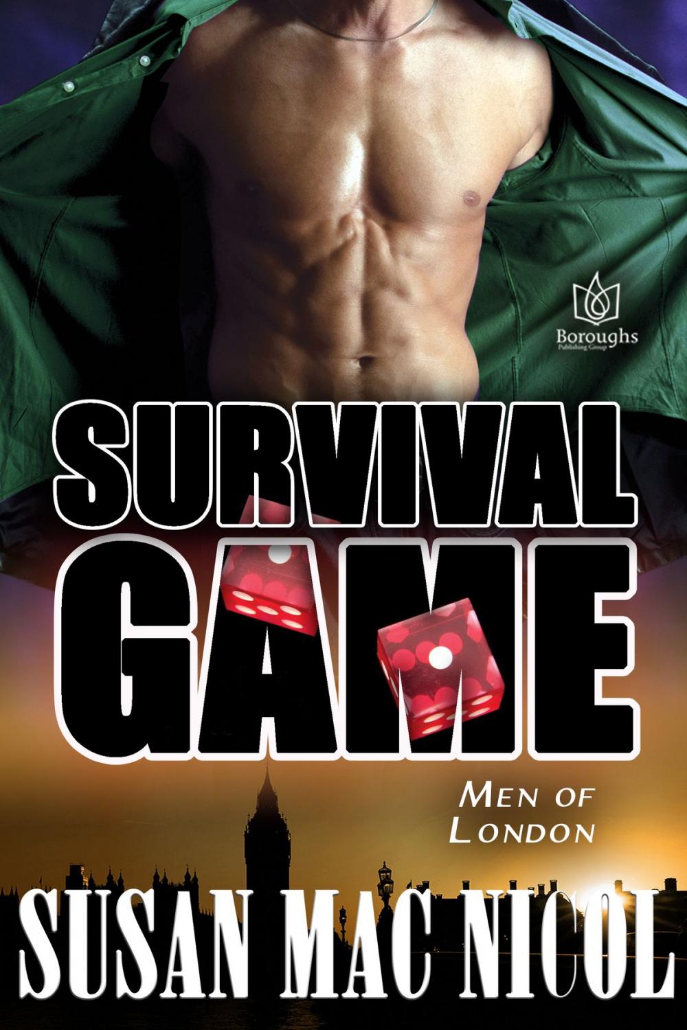 Big bigCover of Survival Game