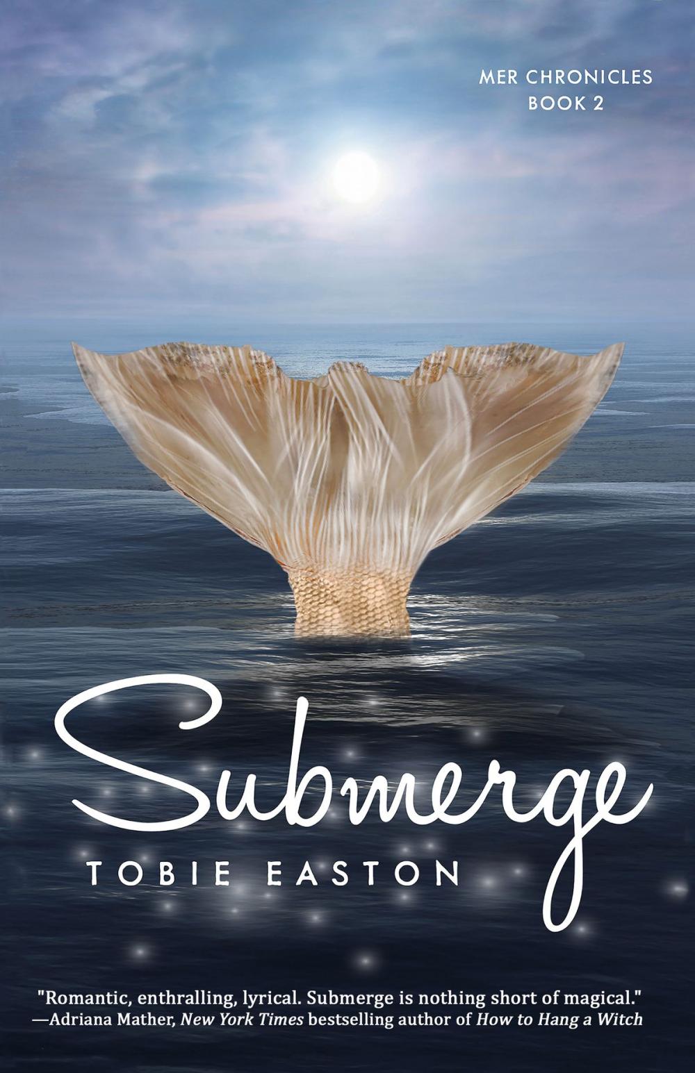 Big bigCover of Submerge