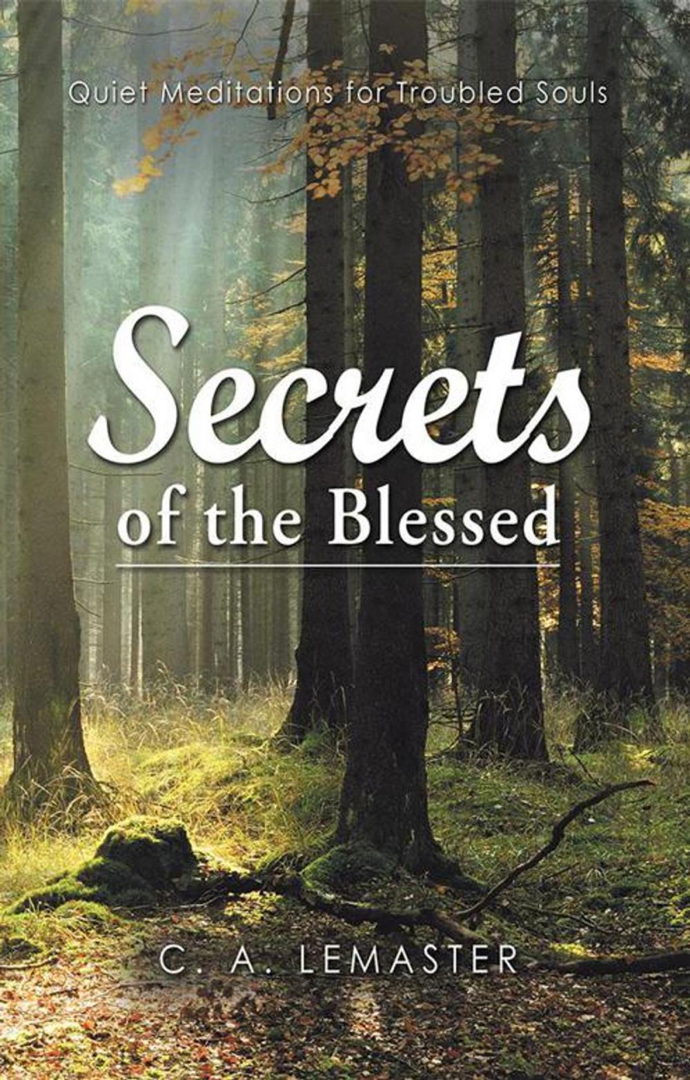 Big bigCover of Secrets of the Blessed