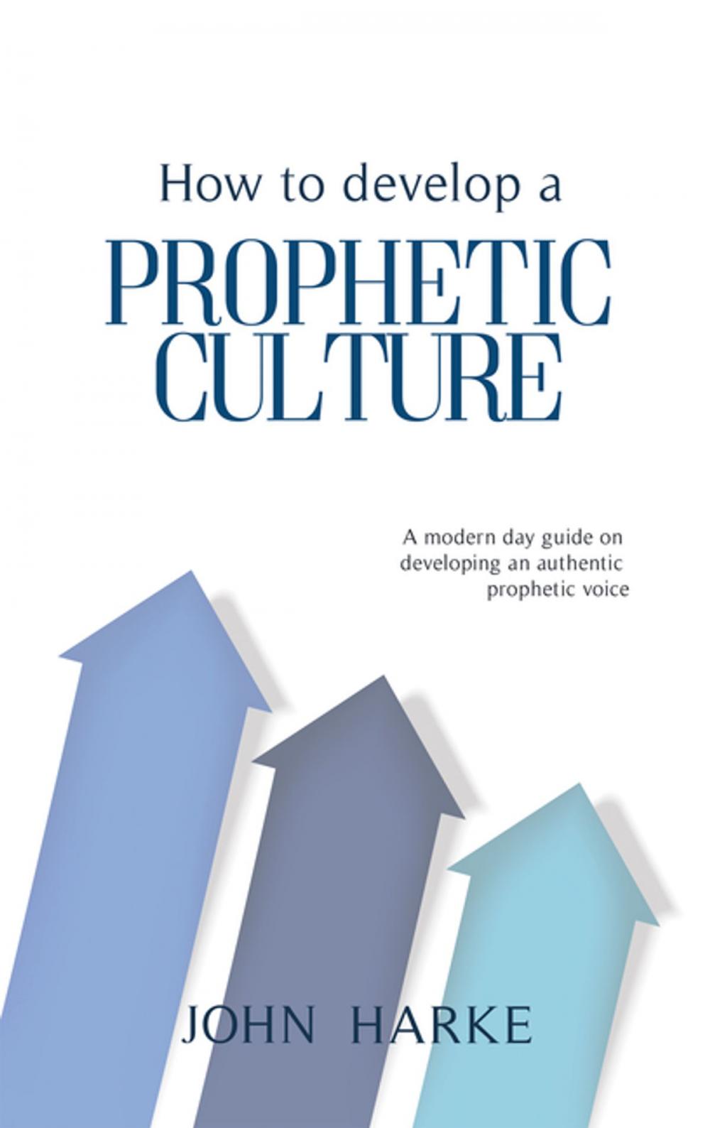 Big bigCover of How to Develop a Prophetic Culture