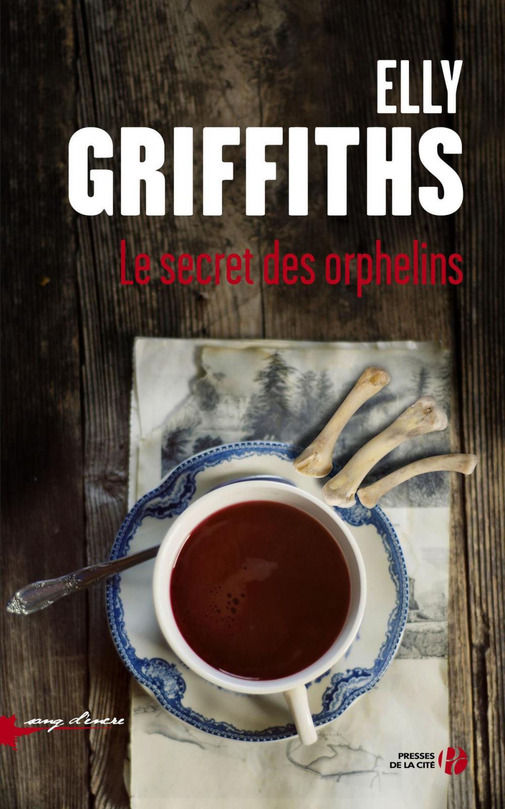 Big bigCover of Le secret des orphelins