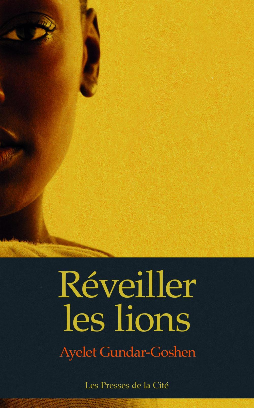 Big bigCover of Réveiller les lions