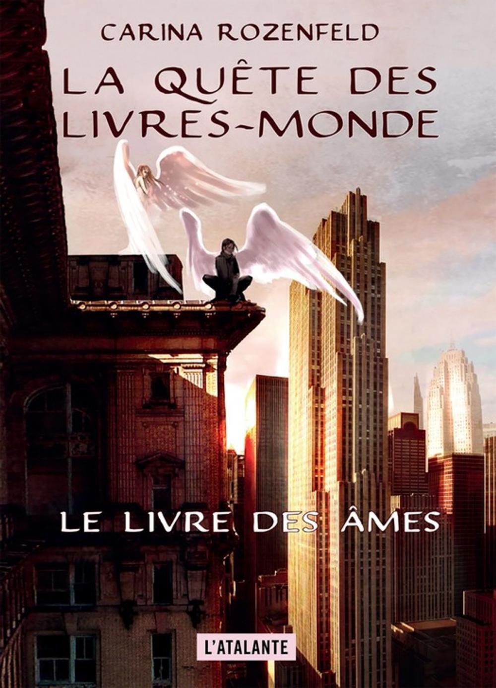 Big bigCover of Le Livre des Âmes