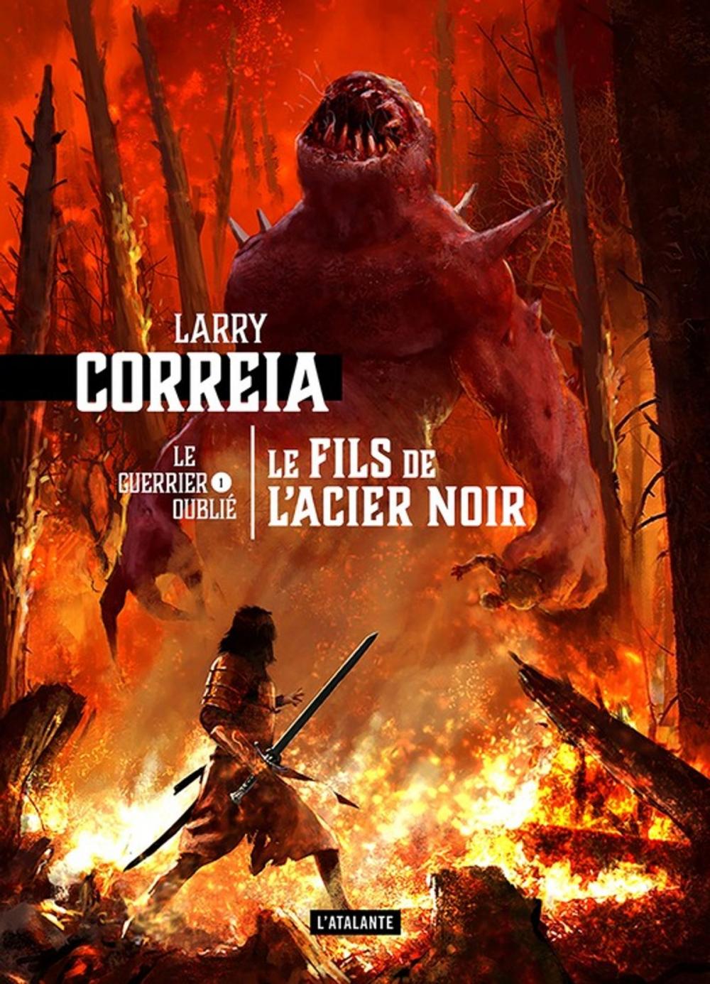 Big bigCover of Le fils de l'acier noir