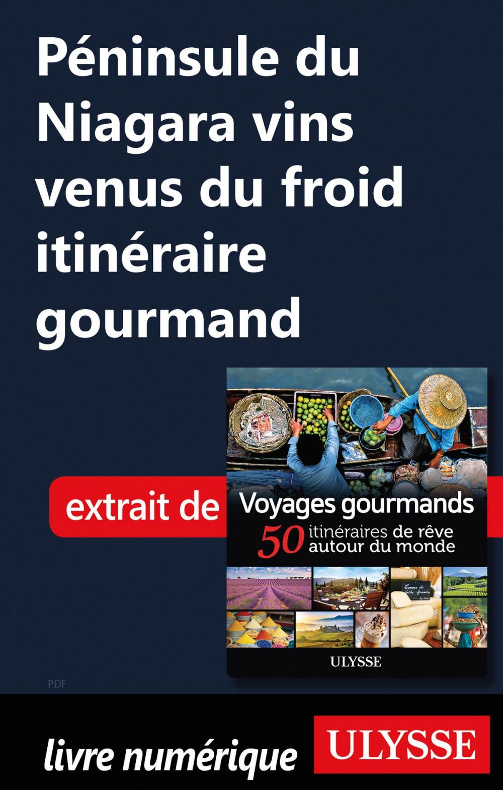 Big bigCover of Péninsule du Niagara vins venus du froid itinéraire gourmand