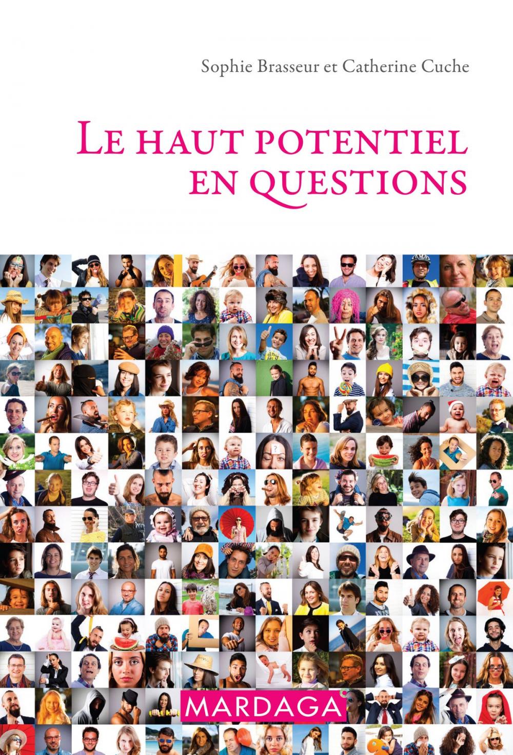 Big bigCover of Le haut potentiel en questions