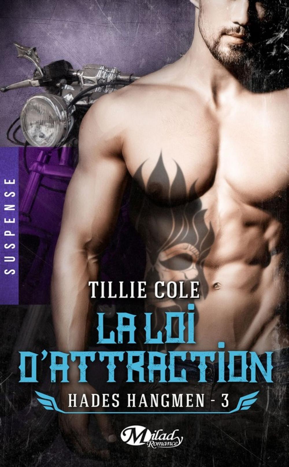 Big bigCover of La Loi d'attraction