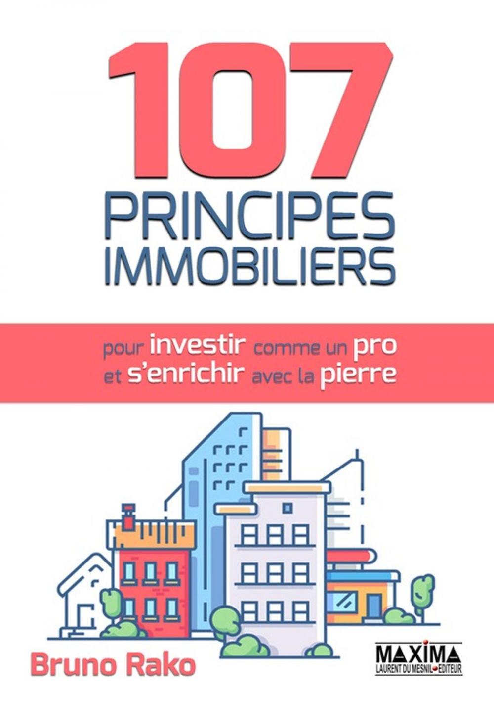 Big bigCover of 107 principes immobiliers pour investir comme un pro et s'enrichir avec la pierre