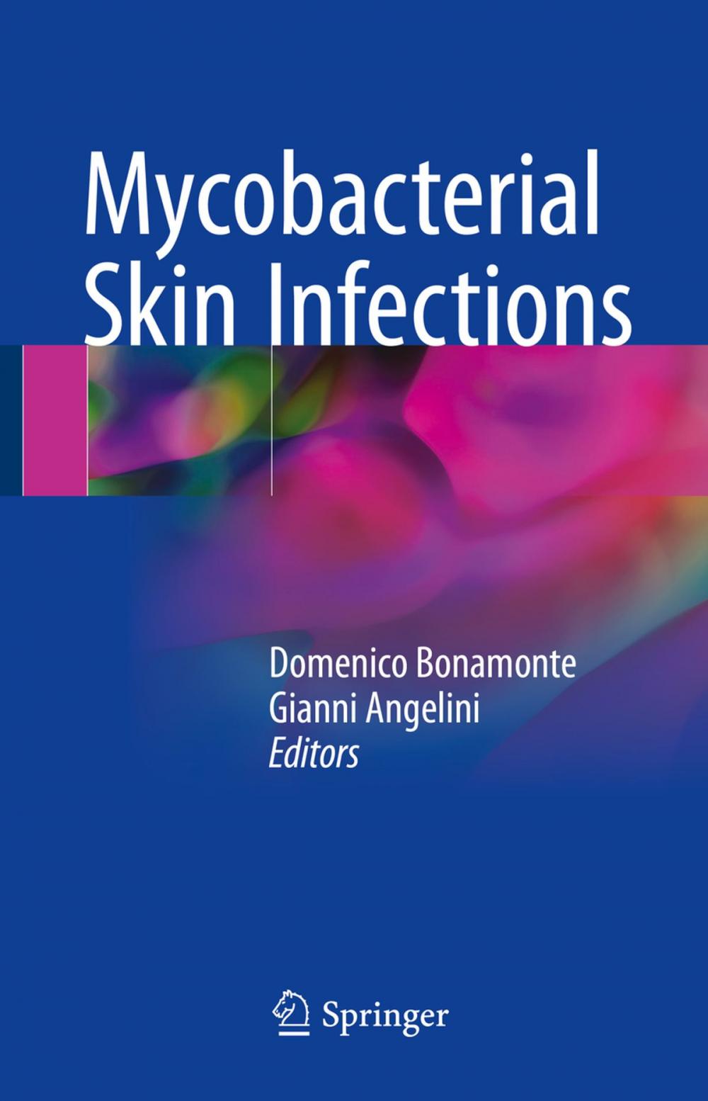 Big bigCover of Mycobacterial Skin Infections