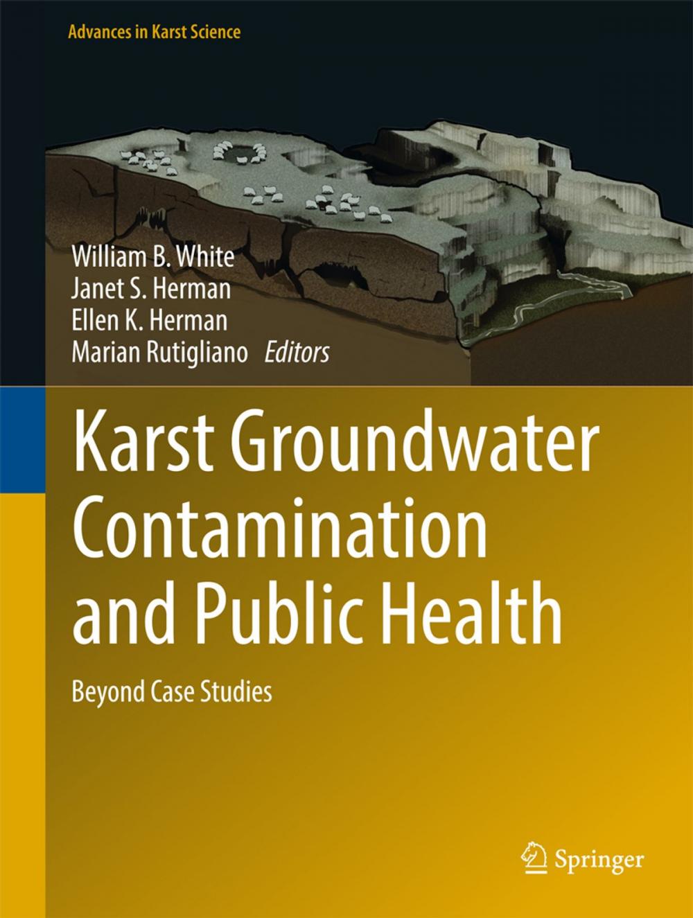 Big bigCover of Karst Groundwater Contamination and Public Health