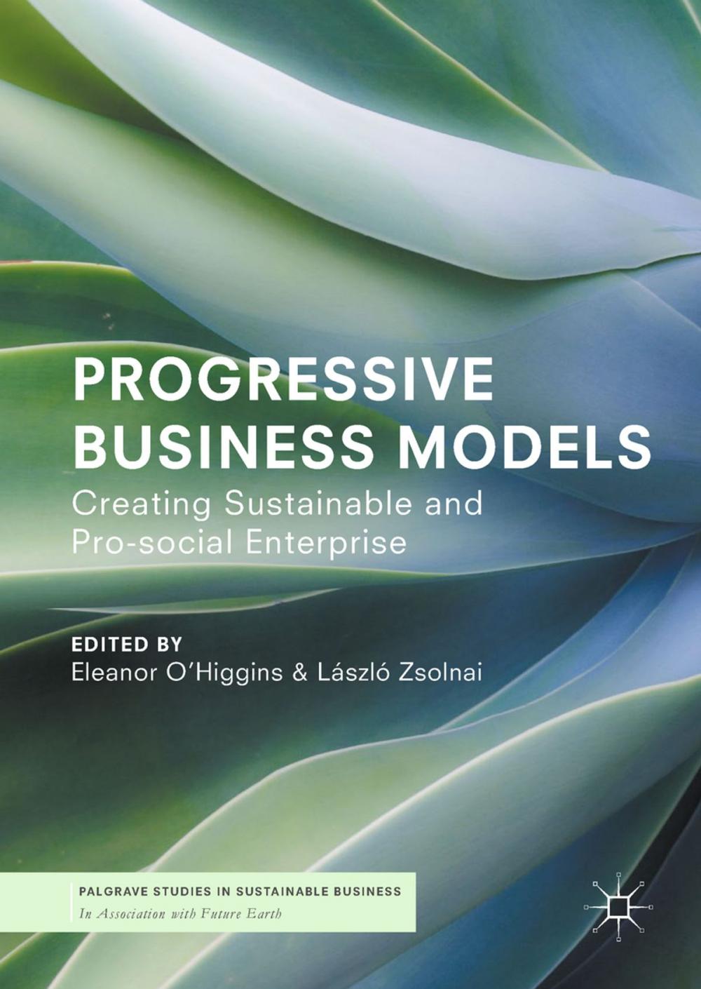 Big bigCover of Progressive Business Models