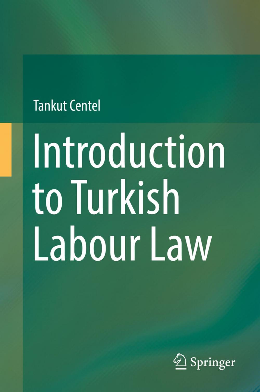 Big bigCover of Introduction to Turkish Labour Law