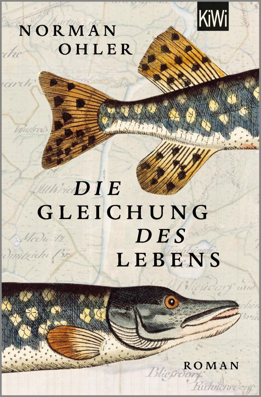 Big bigCover of Die Gleichung des Lebens