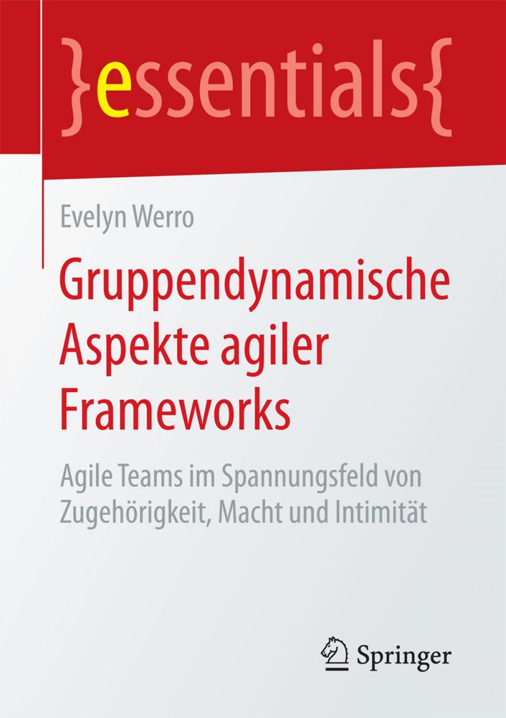 Big bigCover of Gruppendynamische Aspekte agiler Frameworks