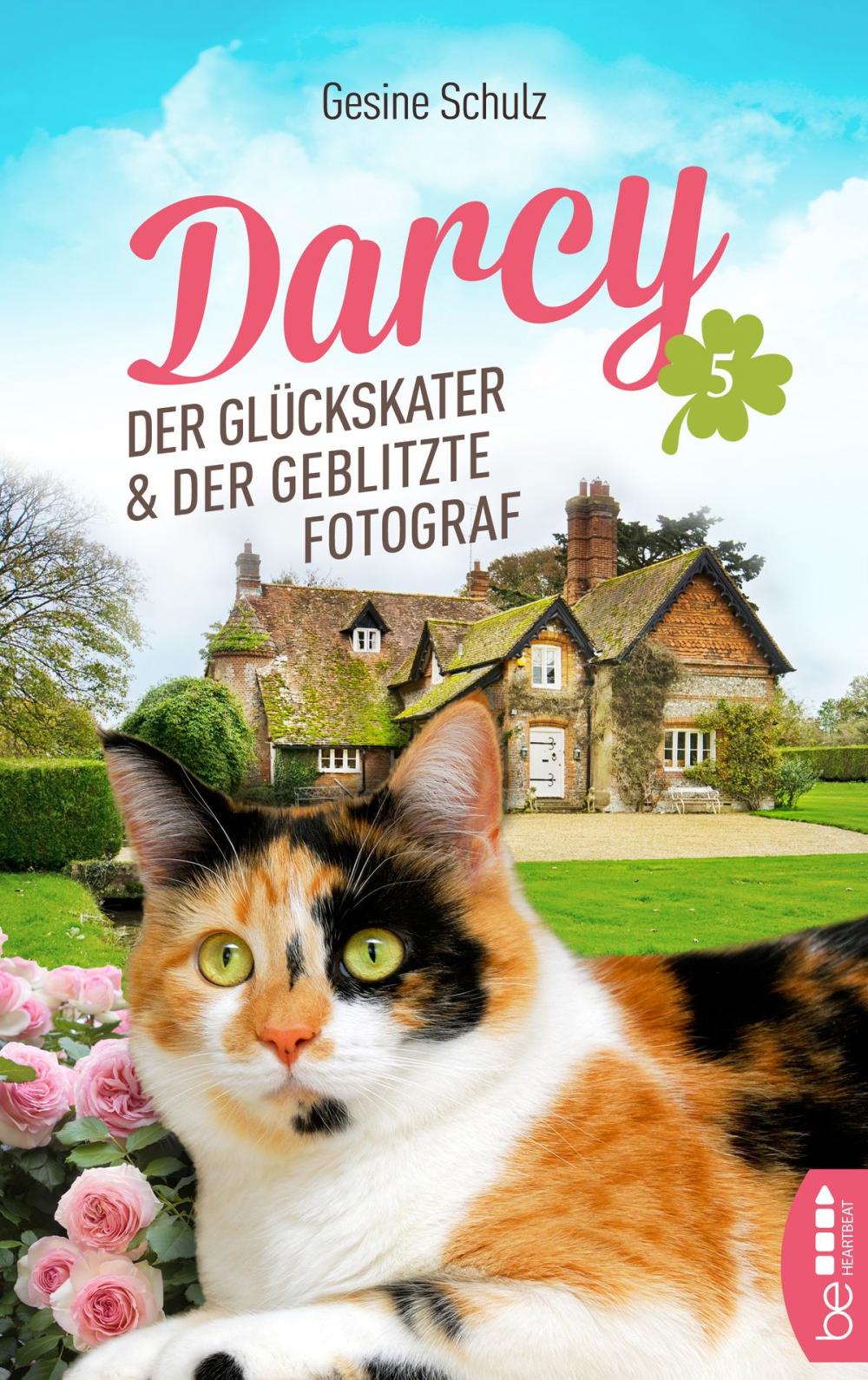 Big bigCover of Darcy - Der Glückskater und der geblitzte Fotograf