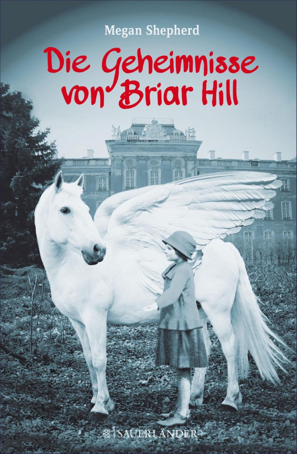 Big bigCover of Die Geheimnisse von Briar Hill