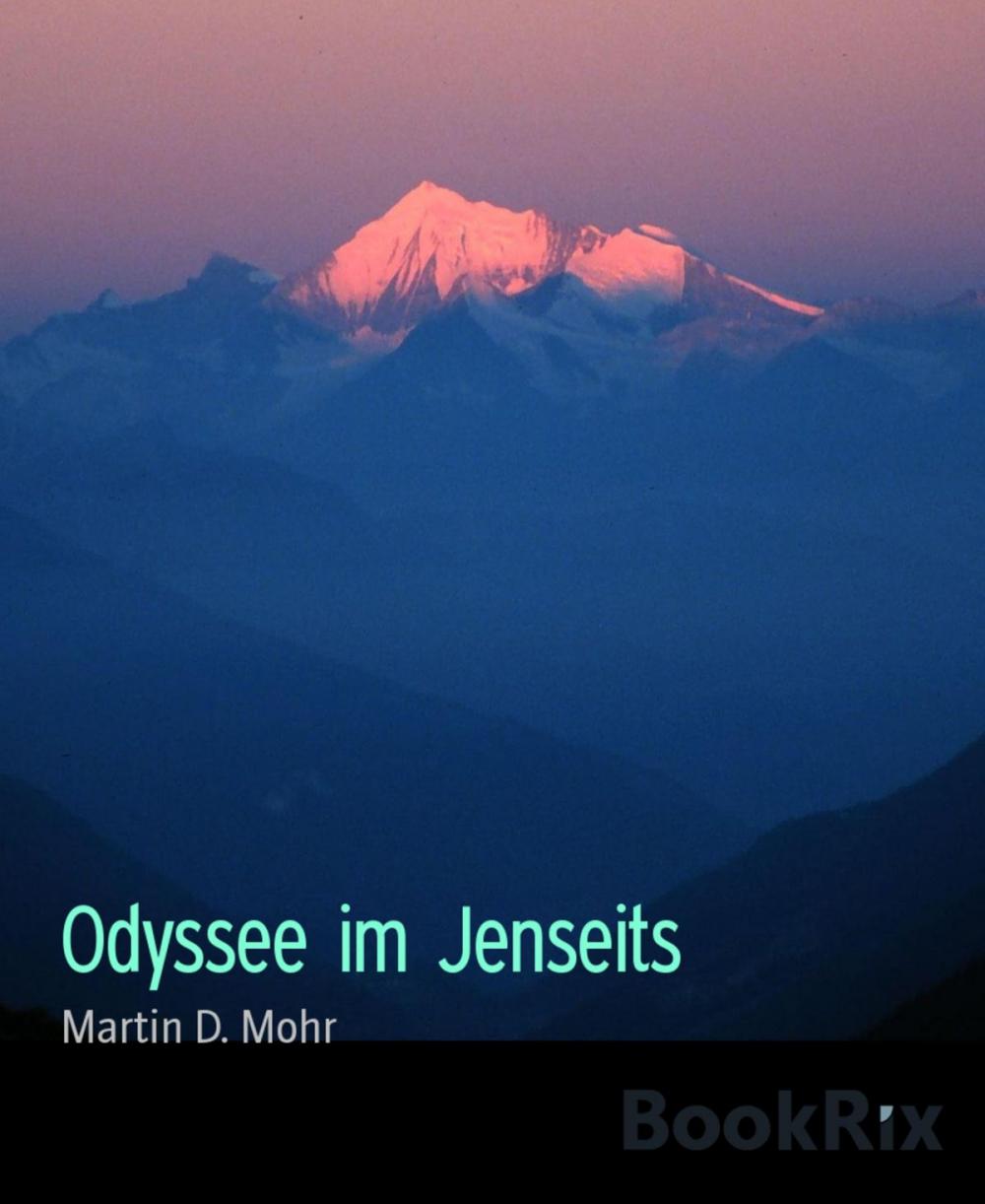 Big bigCover of Odyssee im Jenseits