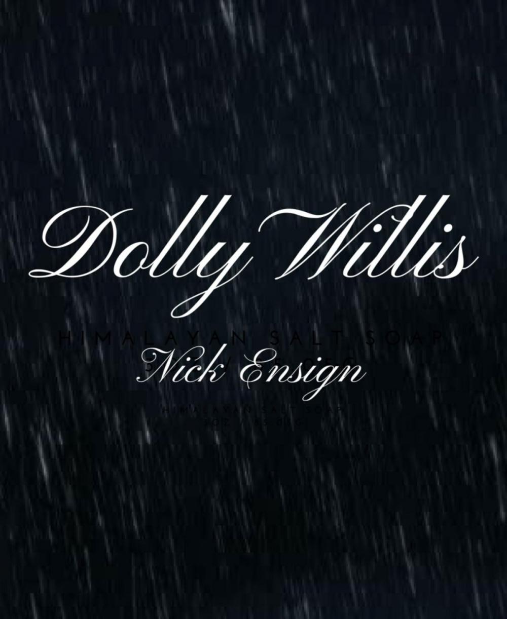 Big bigCover of Dolly Willis