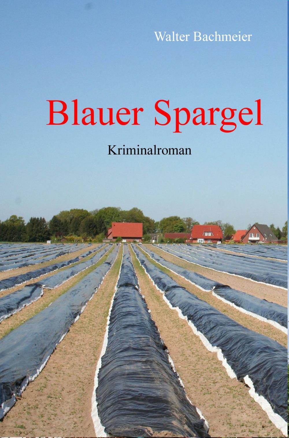 Big bigCover of Blauer Spargel