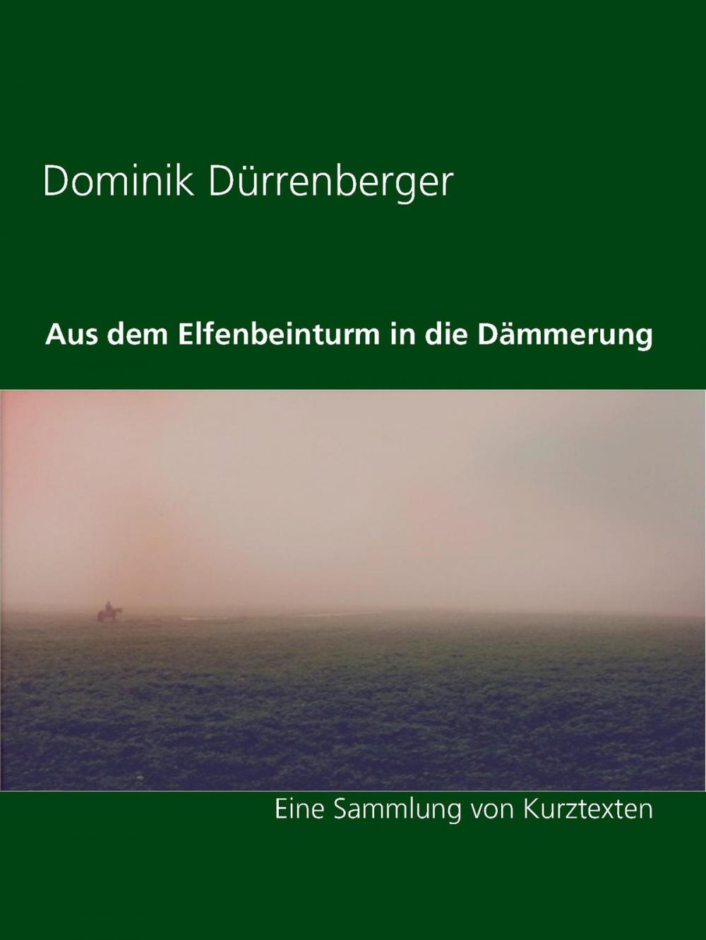 Big bigCover of Aus dem Elfenbeinturm in die Dämmerung