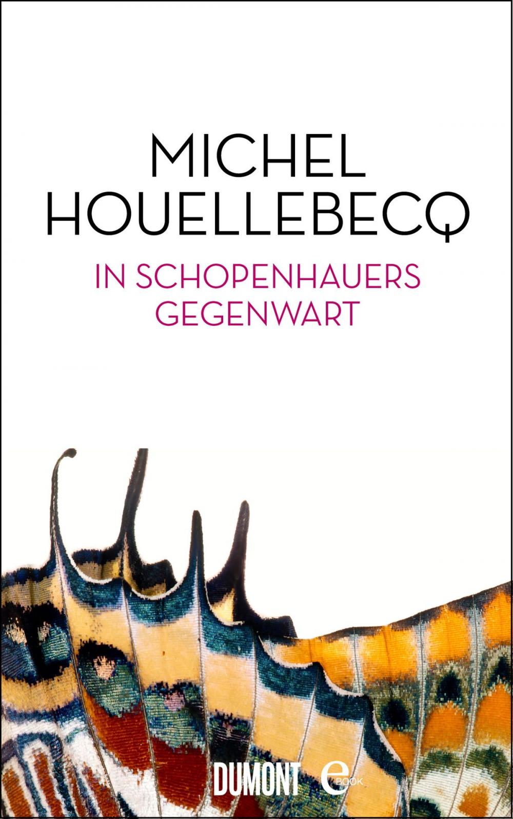 Big bigCover of In Schopenhauers Gegenwart