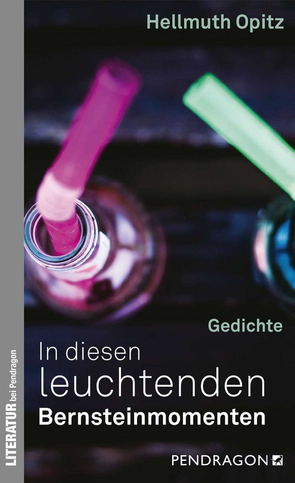 Big bigCover of In diesen leuchtenden Bernsteinmomenten