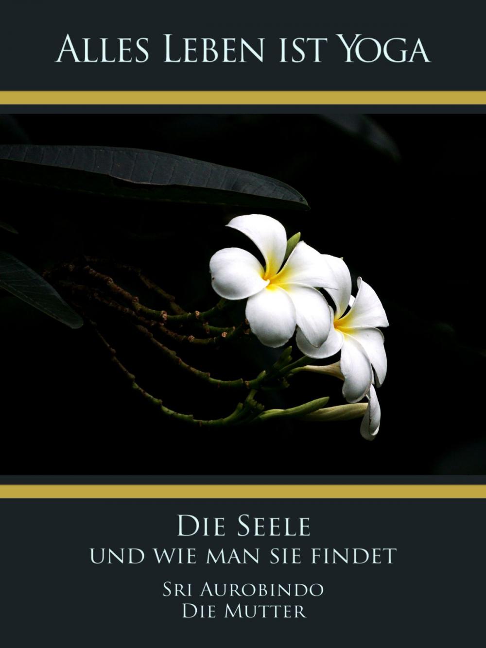 Big bigCover of Die Seele und wie man sie findet