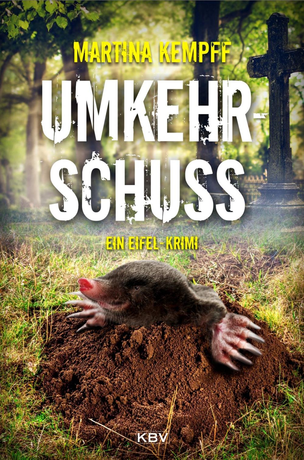 Big bigCover of Umkehrschuss