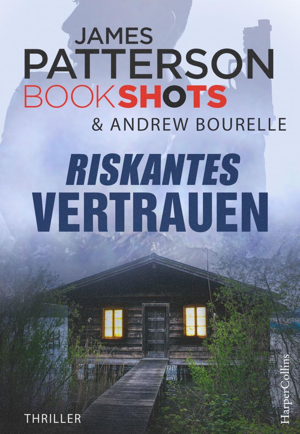 Big bigCover of Riskantes Vertrauen