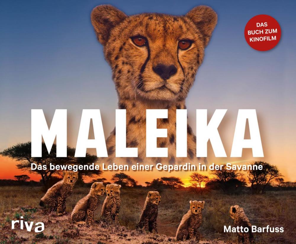 Big bigCover of Maleika