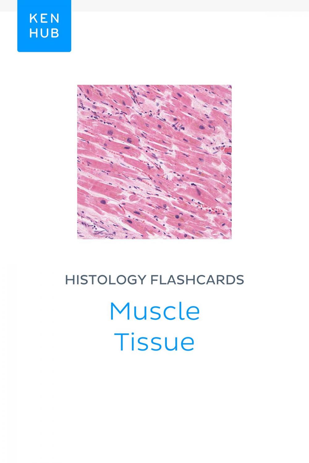 Big bigCover of Histology flashcards: Muscle Tissue