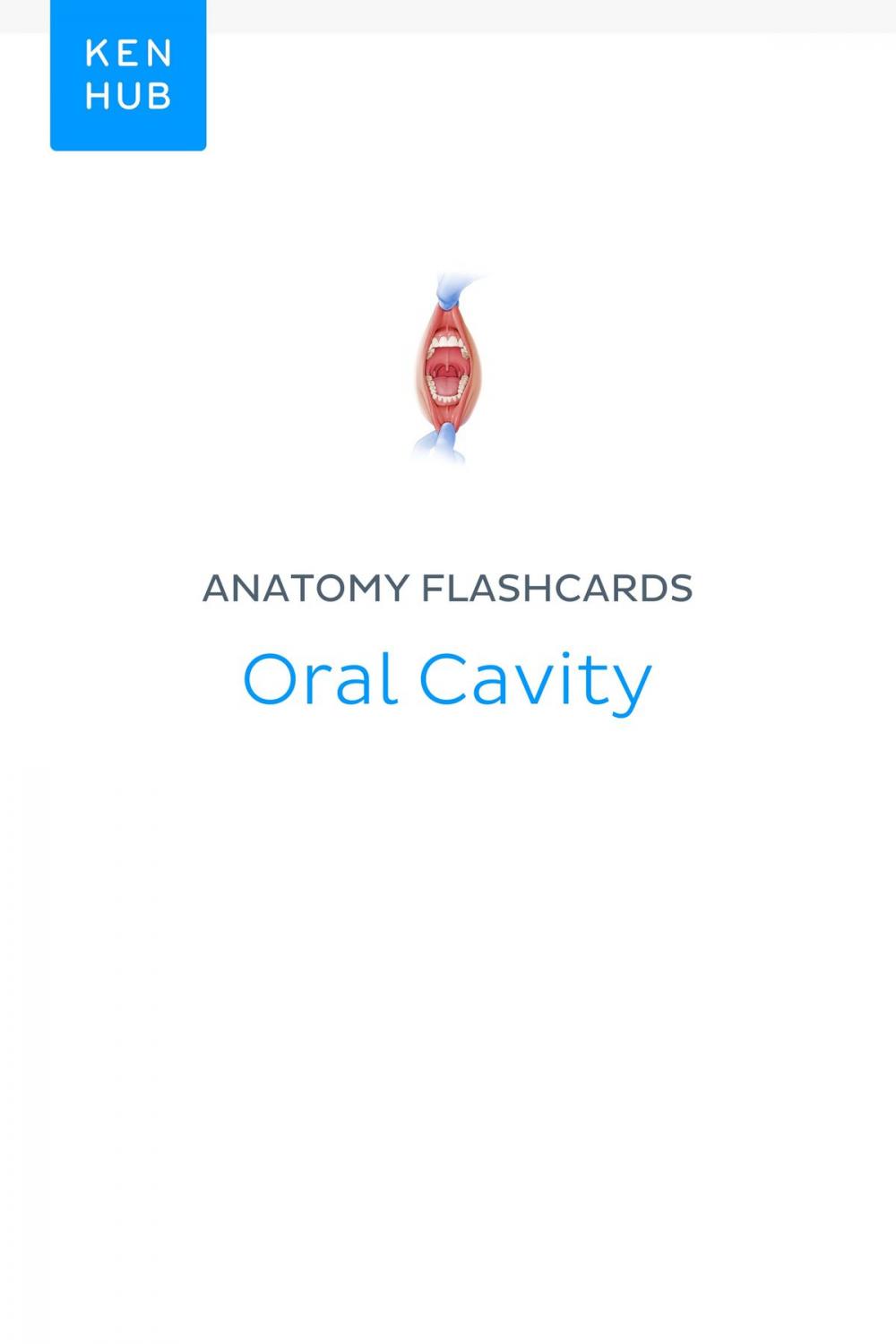 Big bigCover of Anatomy flashcards: Oral Cavity