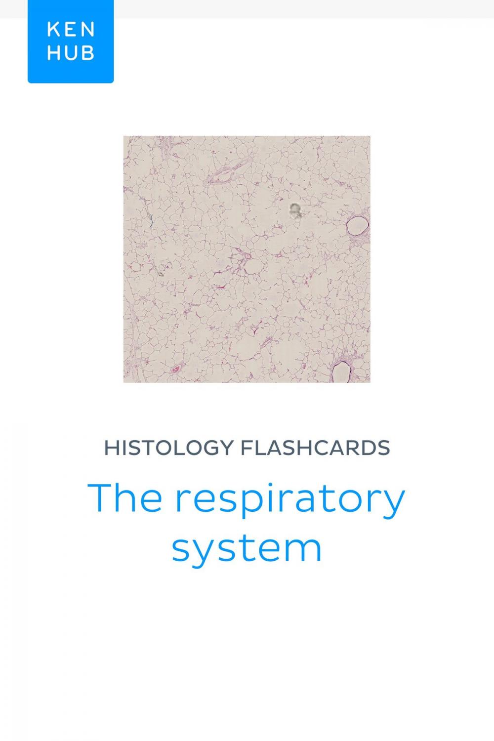 Big bigCover of Histology flashcards: The respiratory system