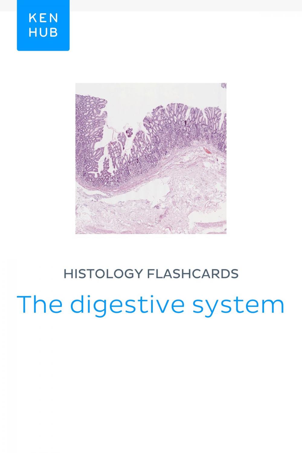 Big bigCover of Histology flashcards: The digestive system
