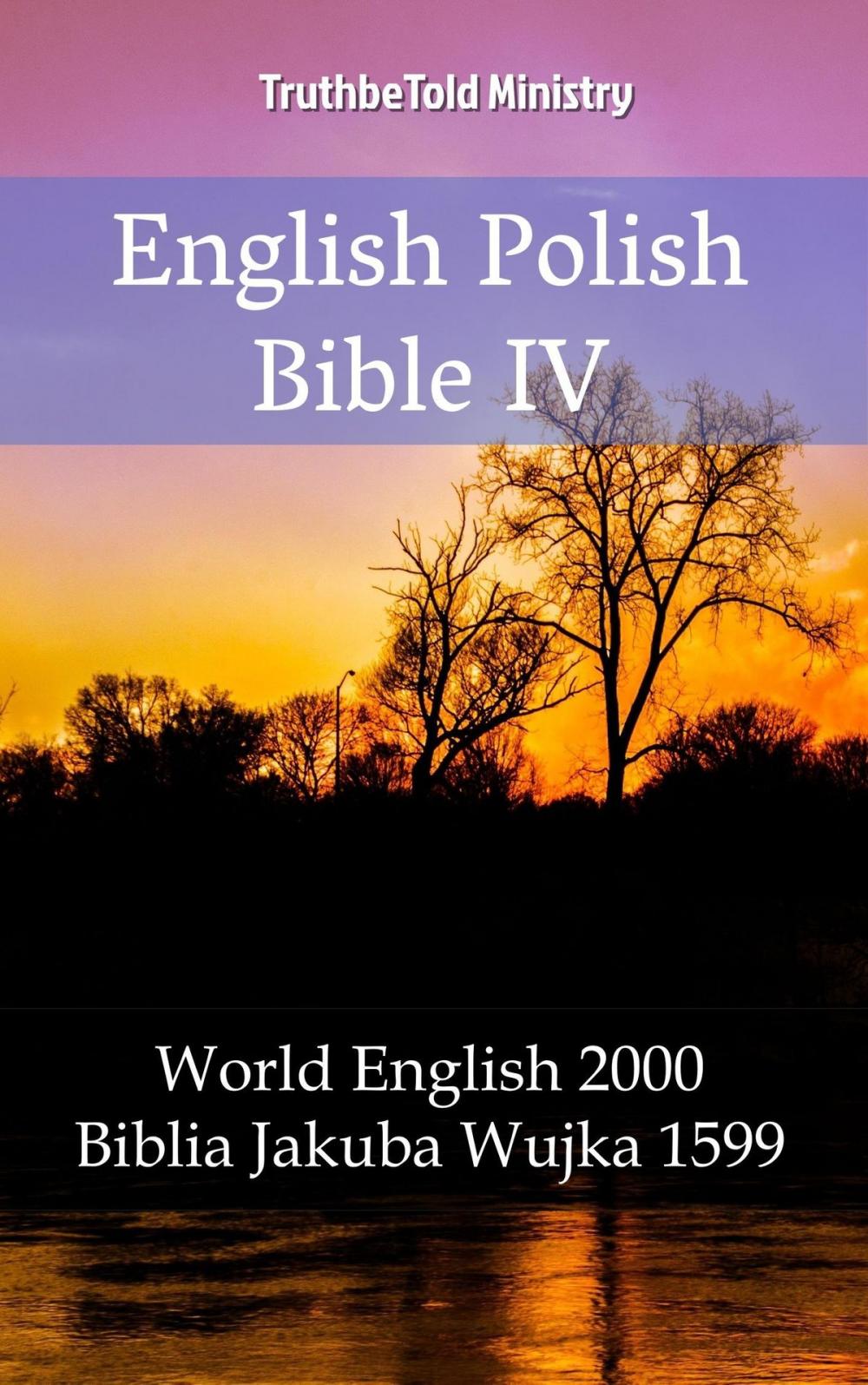 Big bigCover of English Polish Bible IV