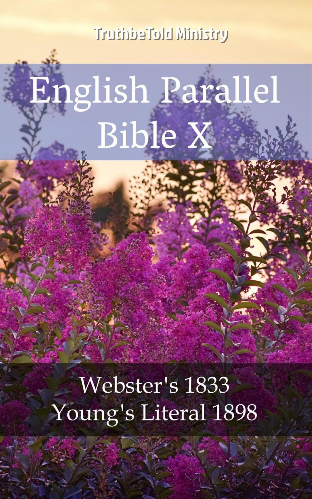 Big bigCover of English Parallel Bible X