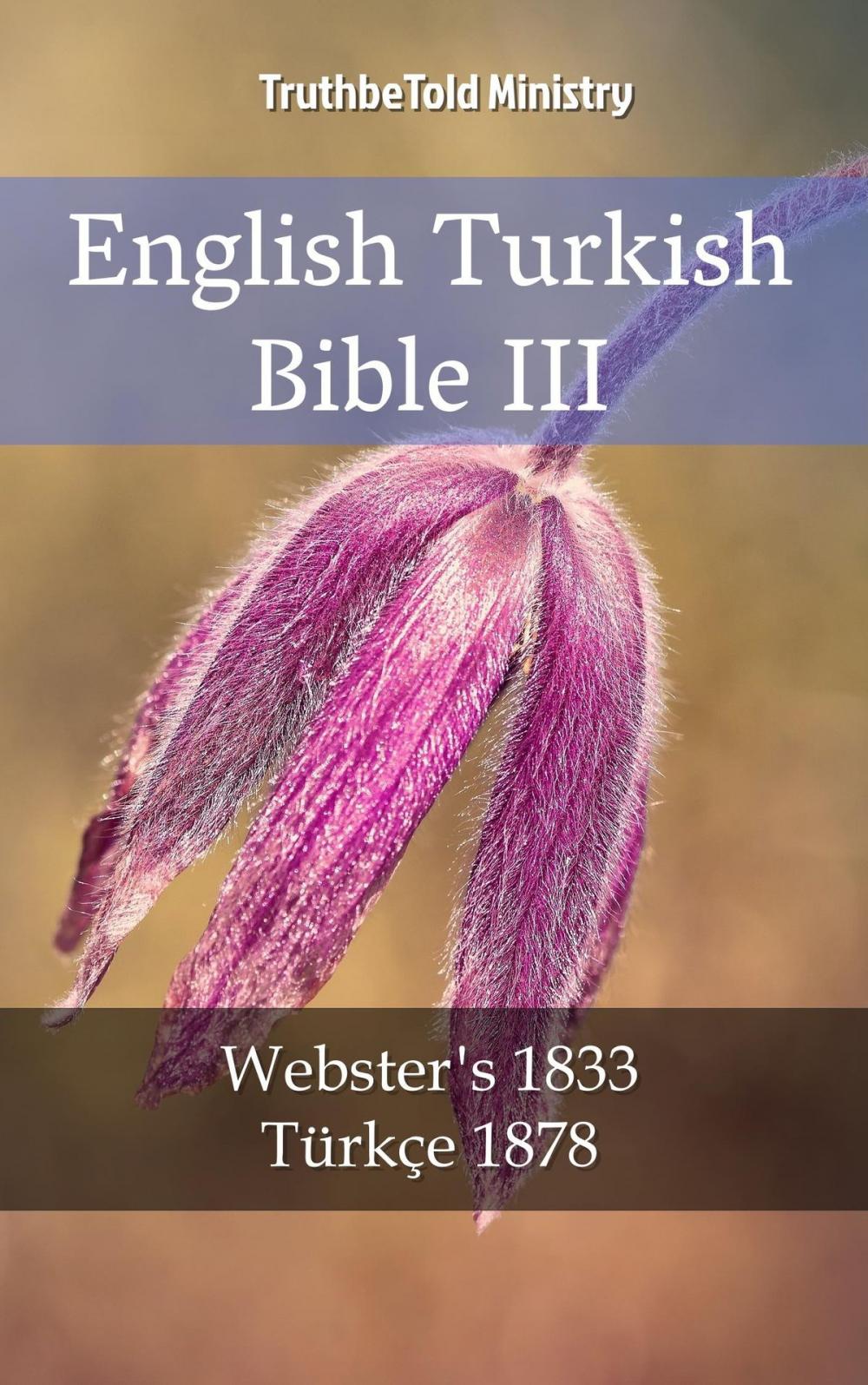 Big bigCover of English Turkish Bible III