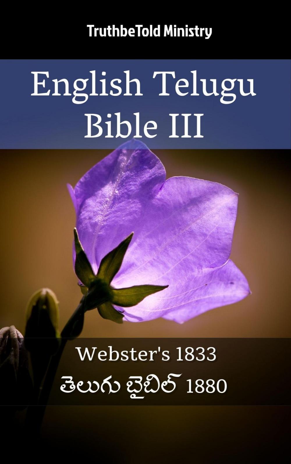 Big bigCover of English Telugu Bible III